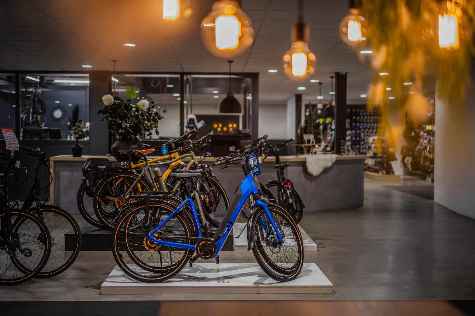 Showroom elektrisch fietsen Dikkenberg Tweewielers