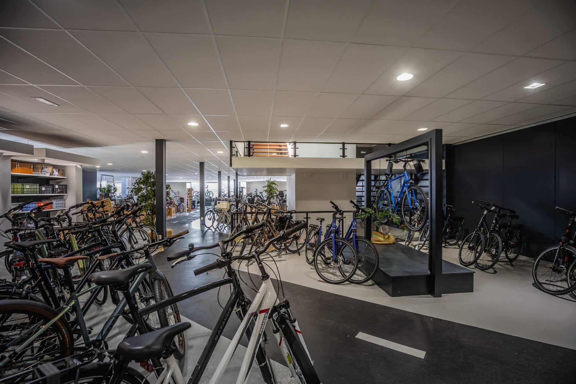 Showroom sportieve fietsen Dikkenberg Tweewielers