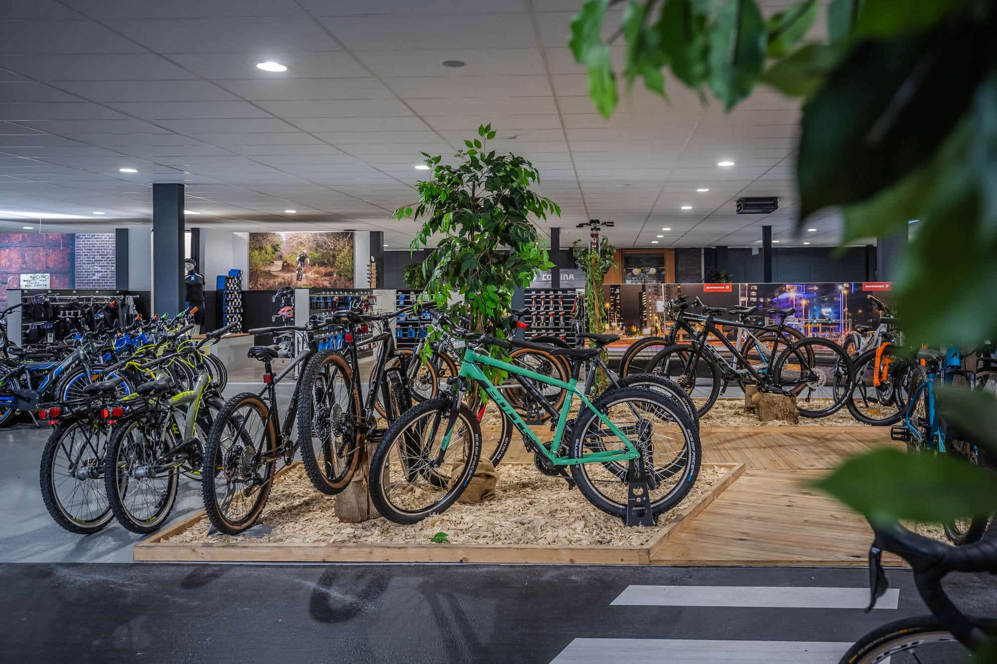 Showroom mountainbikes Dikkenberg Tweewielers