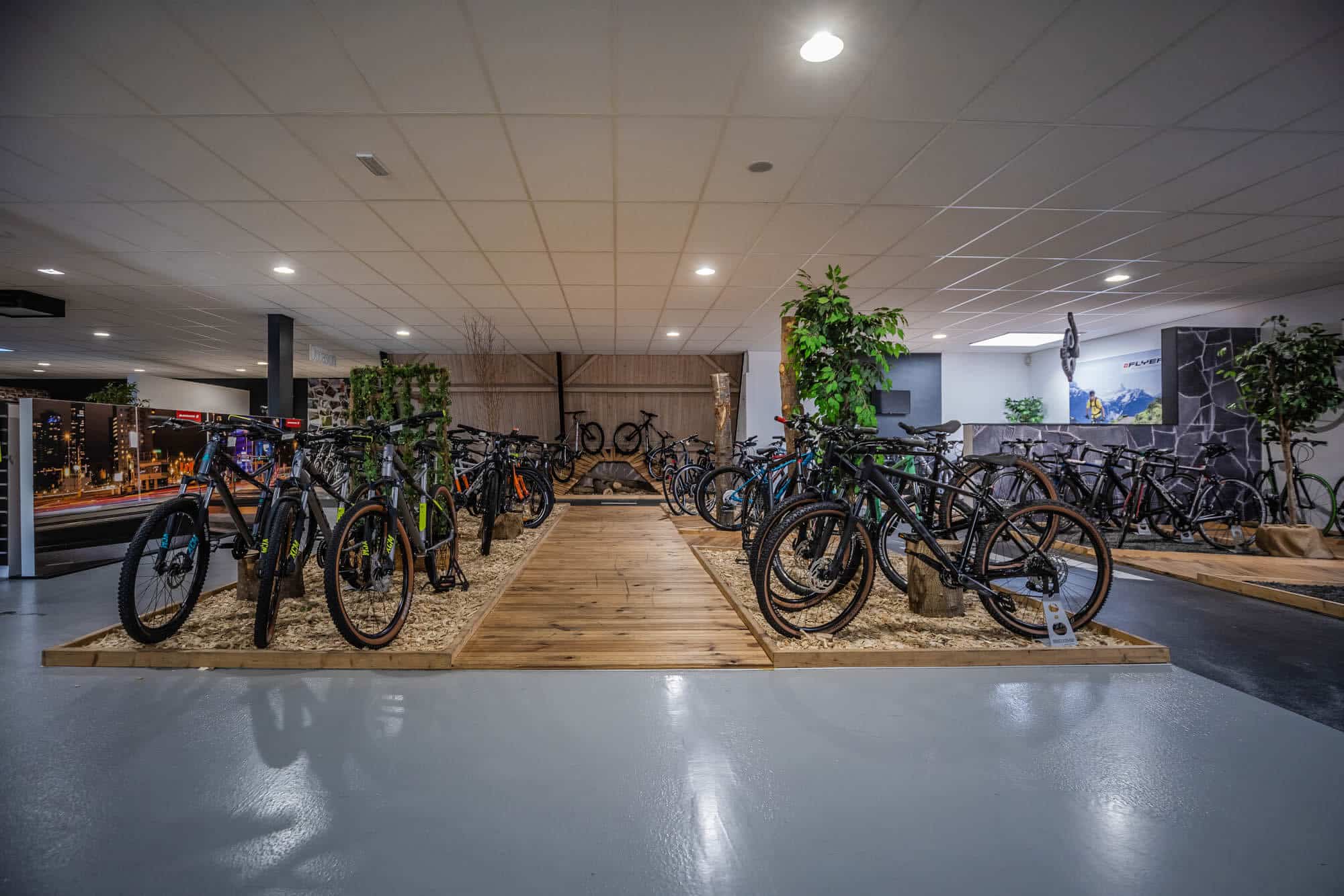 Showroom mountainbikes Dikkenberg Tweewielers